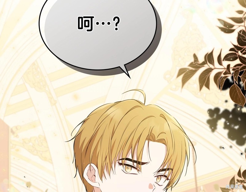 第215页