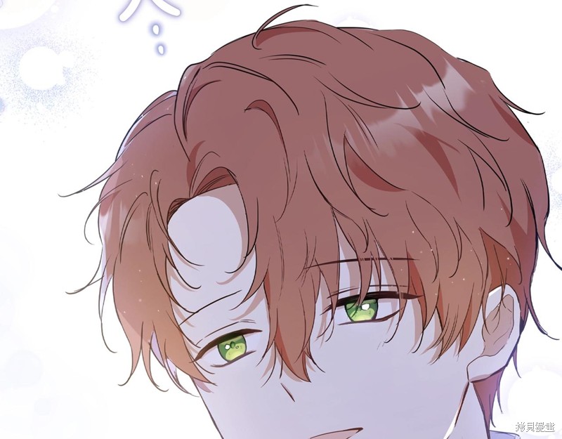 第204页