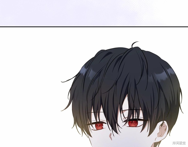第224页
