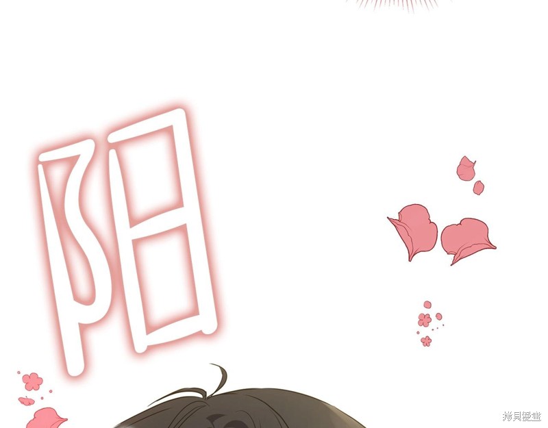 第216页