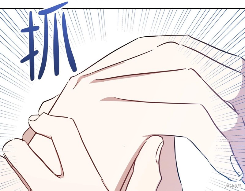 第223页