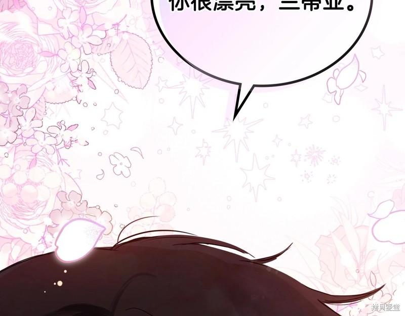 第253页