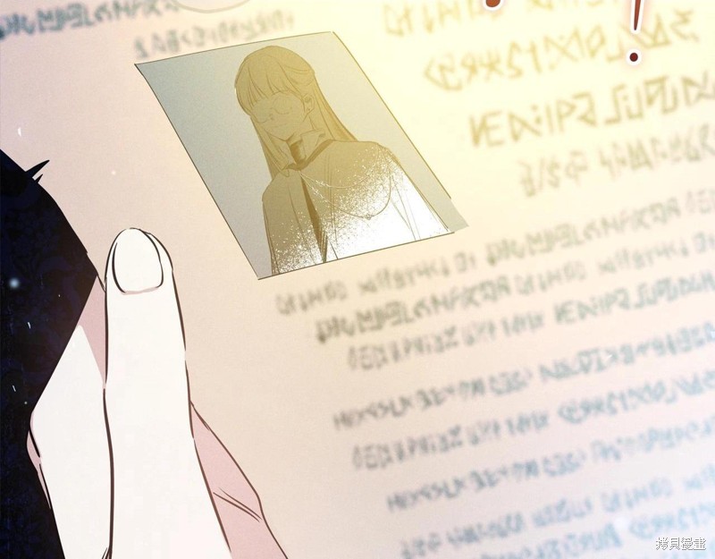第207页