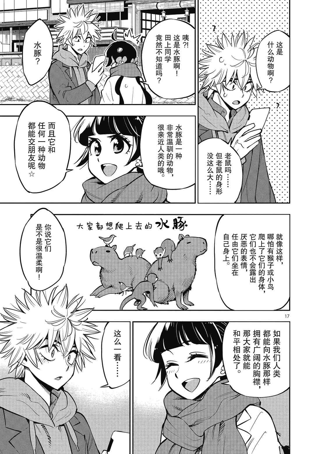 第17页