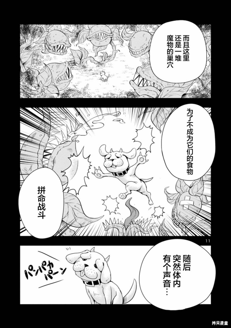 第11页
